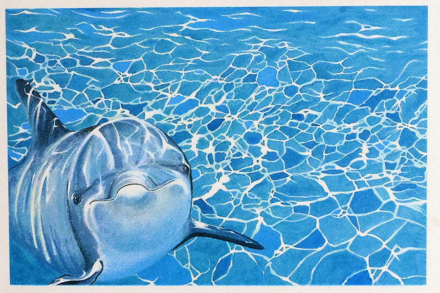 Delfin im Meer